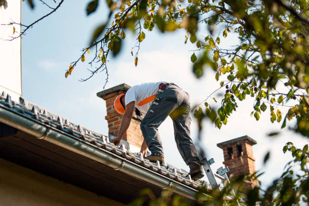 Best Chimney Flashing Repair  in Kewaunee, WI