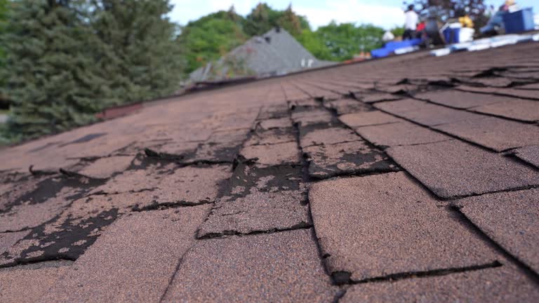 Best Metal Roofing Installation  in Kewaunee, WI